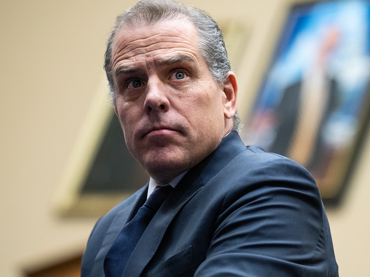 Hunter Biden Pleads Not Responsible To 9 Federal Tax Fees