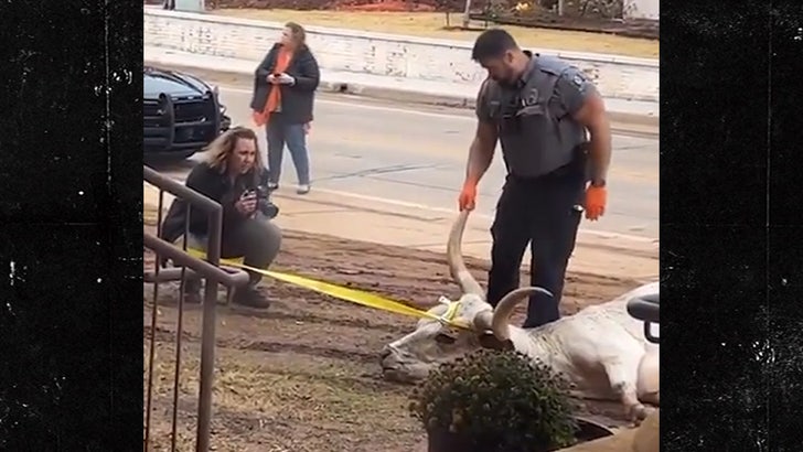 4 Hit With Prison Expenses After Lifeless Longhorn Discovered Close to OSU Campus