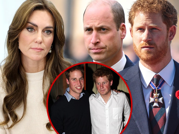 Kate Middleton’s Most cancers Information Likelihood For Harry & William To Make Up