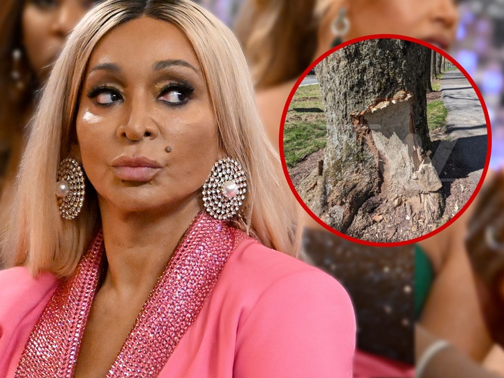 ‘RHOP’ Star Karen Huger Smelled of Booze After Crash, Cops Say