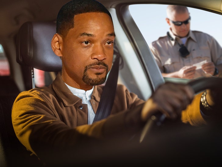 Will Smith Slapped With Ticket for Rushing on PCH in Malibu