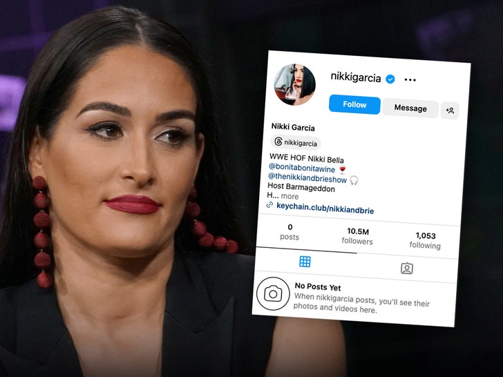 Nikki Bella Wipes Instagram After Settling Artem Chigvintsev Divorce