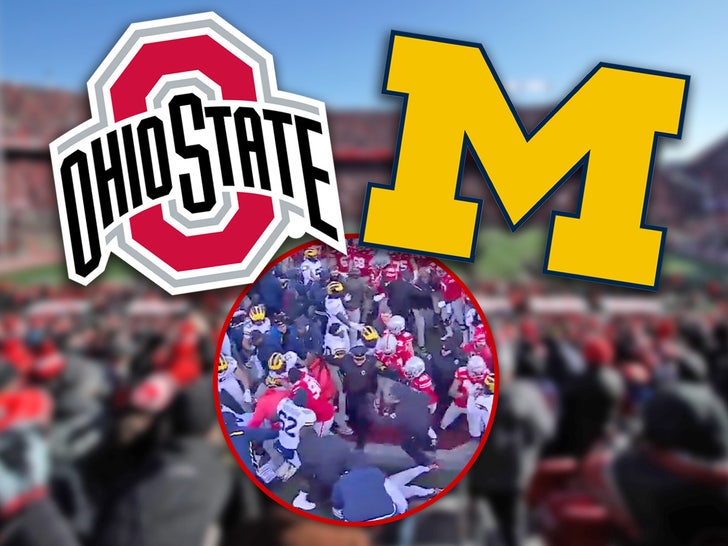 Ohio State & Michigan Soccer Groups Battle After Recreation Following Flag Planting