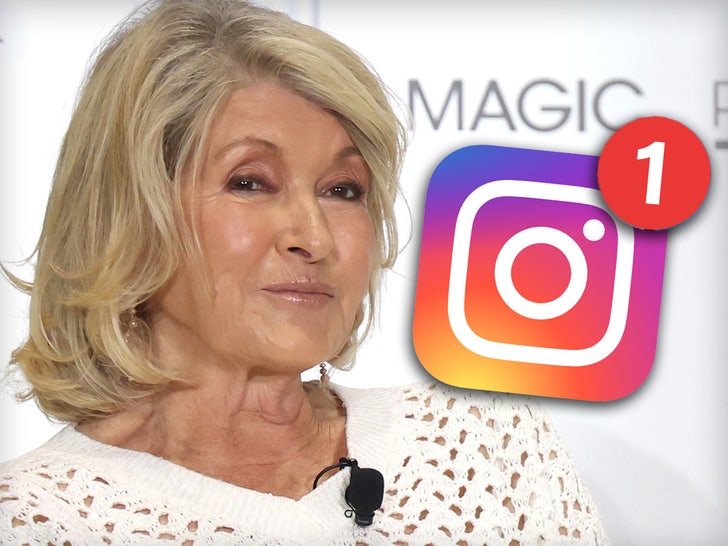 Martha Stewart Admits She Would not Know How you can Entry DMs on Social Media