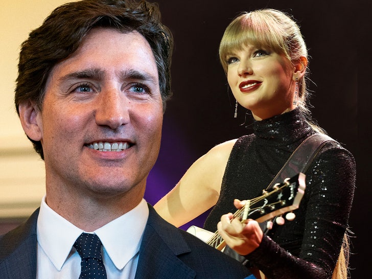 Canadian Prime Minister Justin Trudeau Busts Some Strikes at Taylor Swift’s Live performance