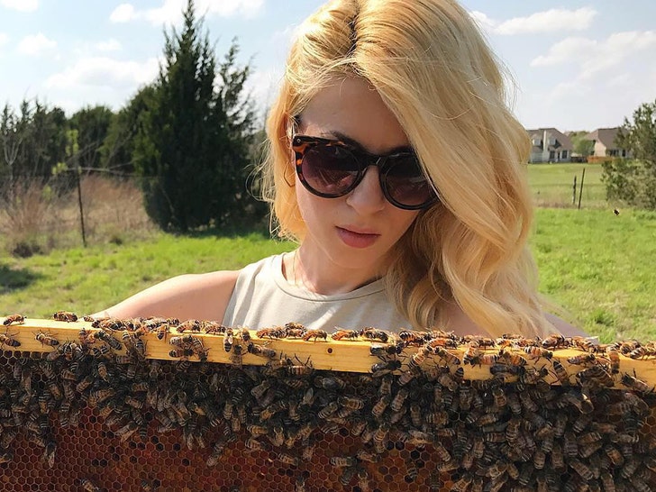 TikTok-Well-known Beekeeper Erika Thompson Secretly Finalizes Divorce