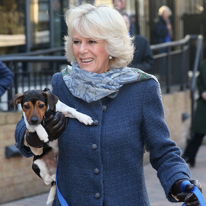 How King Charles III & Queen Camilla Paid Tribute to Late Dog Beth