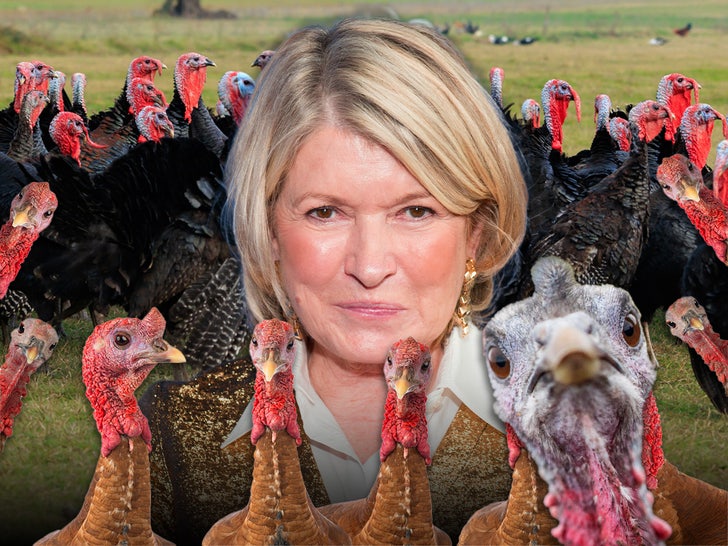 Martha Stewart Pardons Her Homegrown Turkeys Forward of Thanksgiving