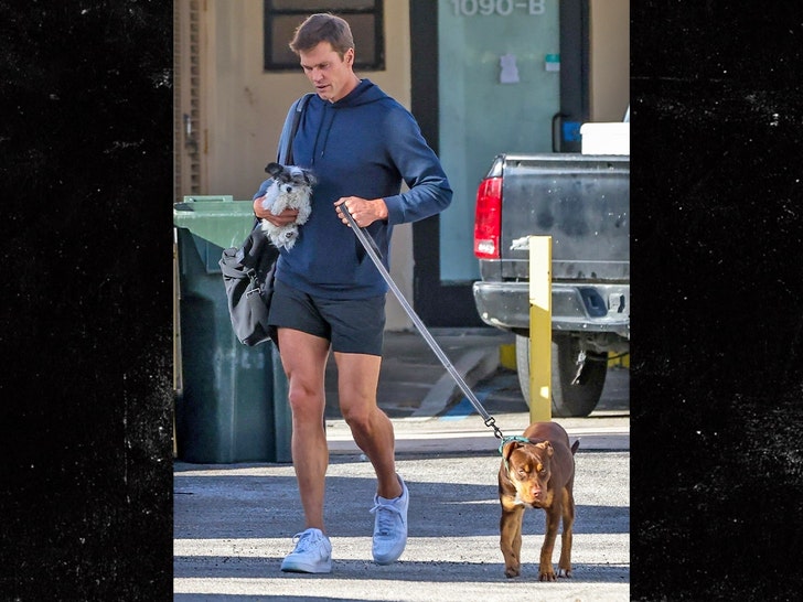 Tom Brady Takes Canine To Fitness center For Exercise In Miami