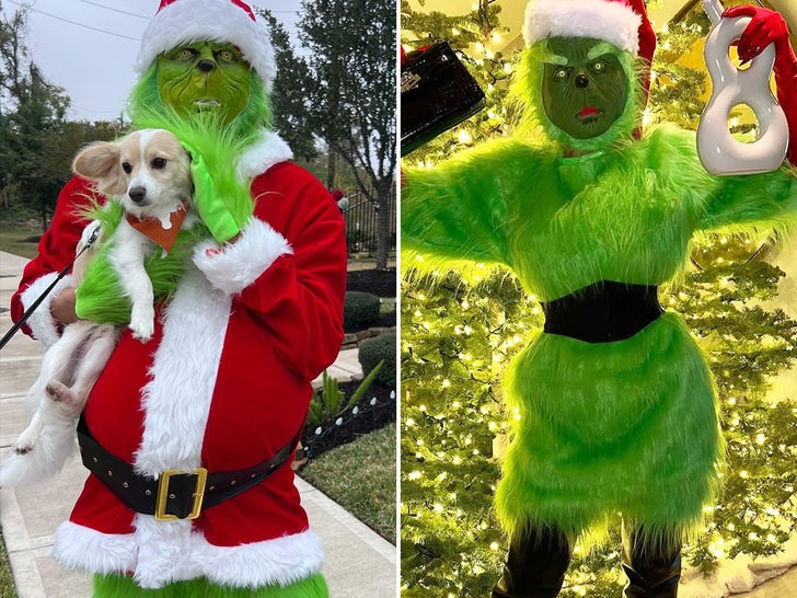 Grinchy Stars Steal Christmas!