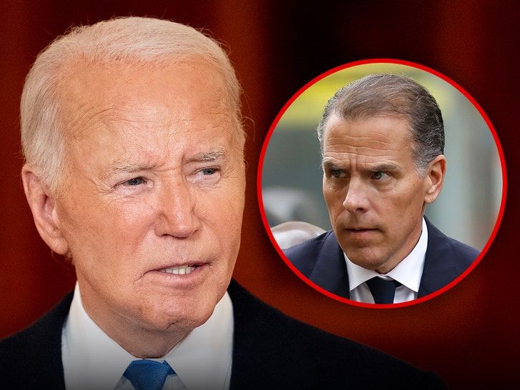 President Biden Determined to Pardon Hunter Months In the past