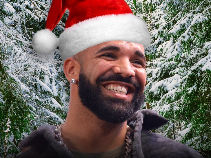 Drake Poses in Huge Fake Fur Coat for Christmas Pictures