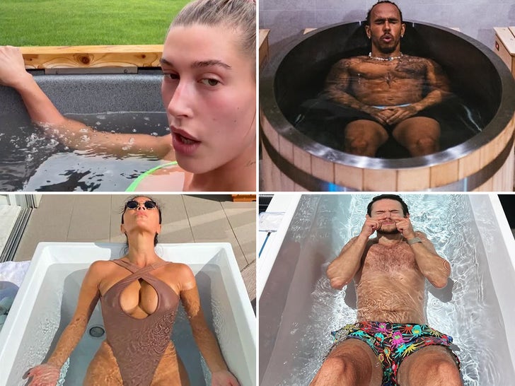 Hailey Bieber, Extra Sizzling Celebrities Cool Off With Chilly Plunges