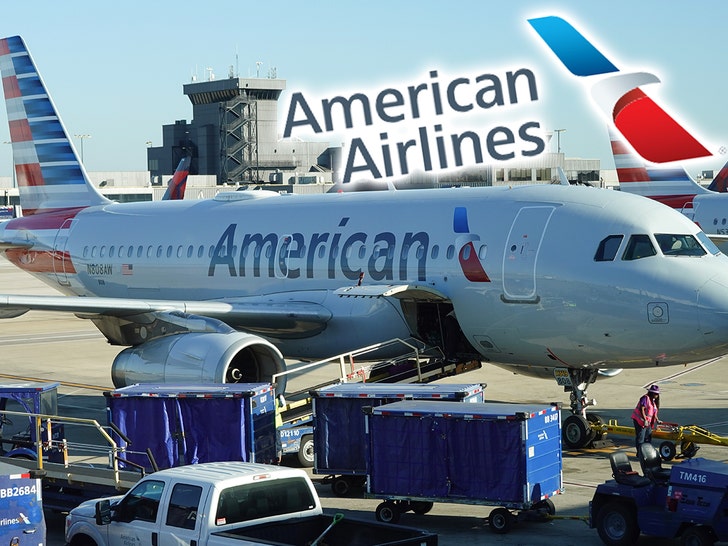 American Airways Resumes Flights After Nationwide Floor Cease on Christmas Eve