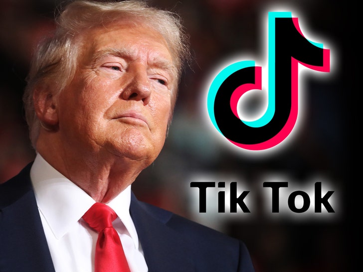 Donald Trump Asks Supreme Courtroom To Delay Upcoming TikTok Ban