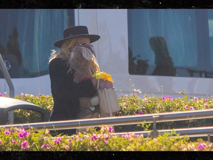 Britney Spears Clutches Stuffed Rabbit in Return to U.S. From Mexico