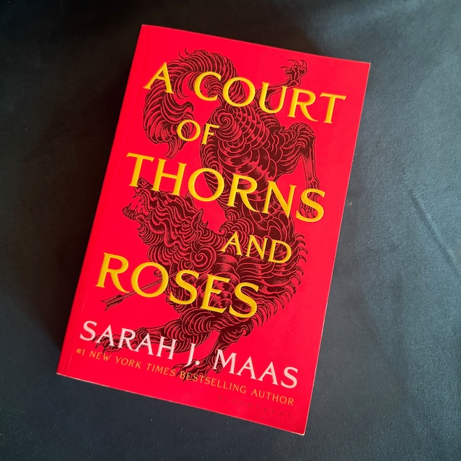 Why ACOTAR Fans Think Elain & Azriel Will Be the Leads in Next Book