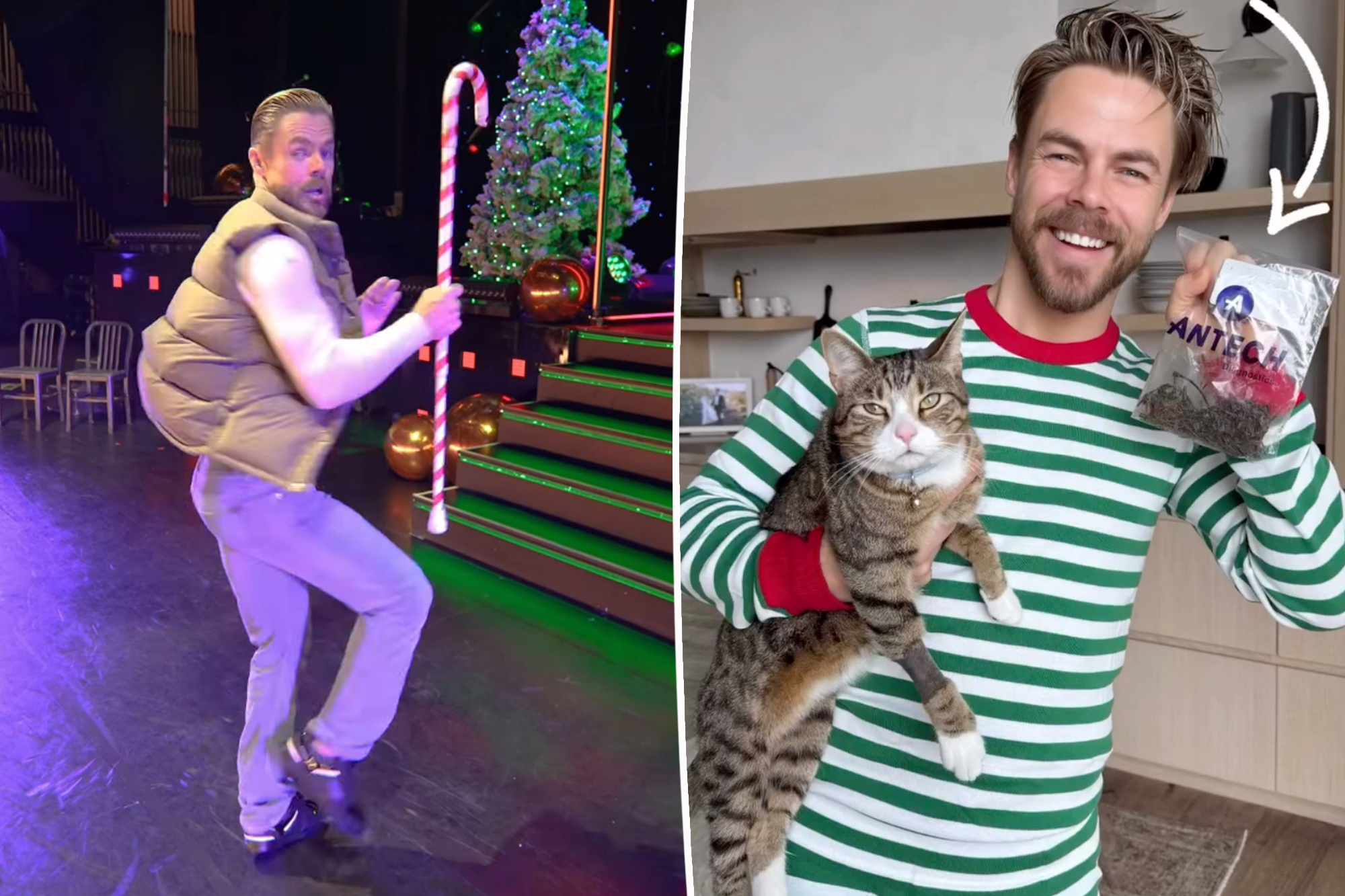 Derek Hough’s drops $8K on vet invoice for his cat’s Christmas well being scare