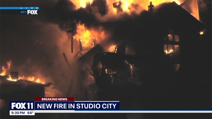 Studio Metropolis Home Engulfed in Flames Crumbles On Reside TV, Video