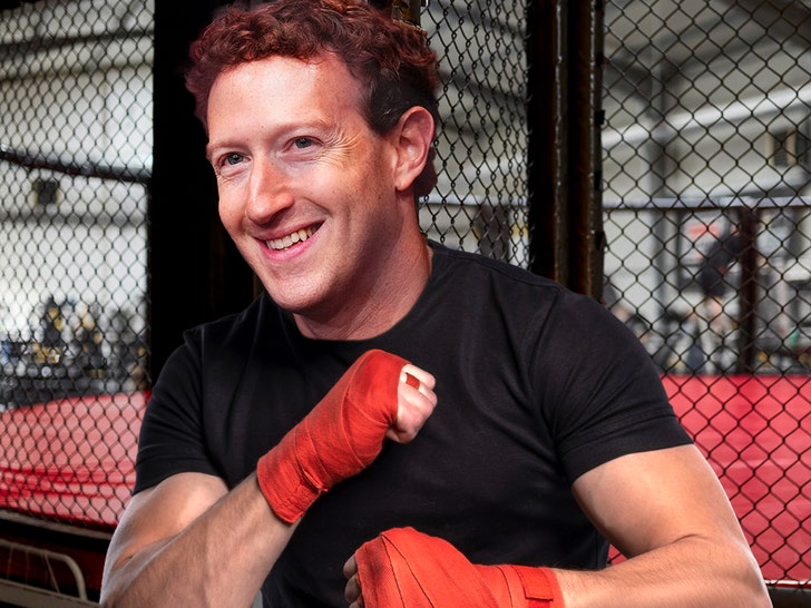 Mark Zuckerberg Nonetheless Desires Professional MMA Combat