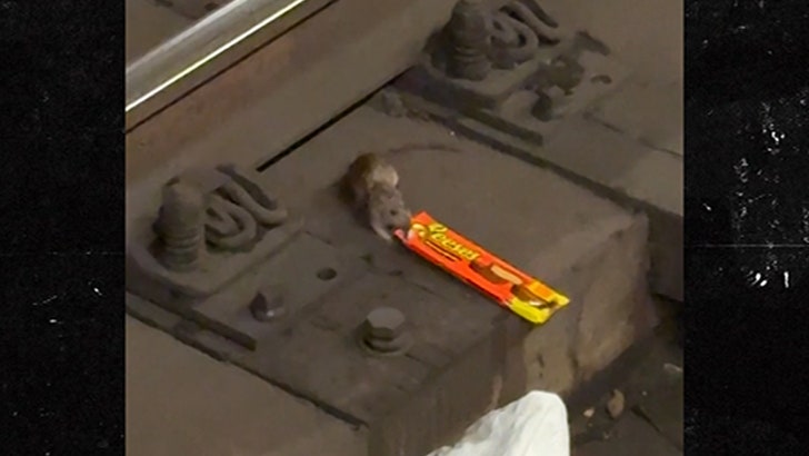 NYC Rat Filmed Dragging King-Sized Reese’s Cups Throughout Subway Tracks, on Video