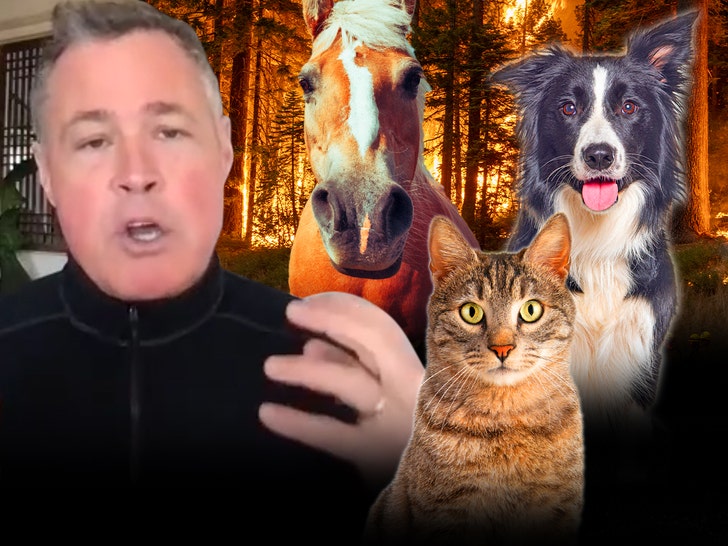 Jeff Corwin Calls Wildfires ‘Disaster’ for Mountain Lions, Condors, Bears