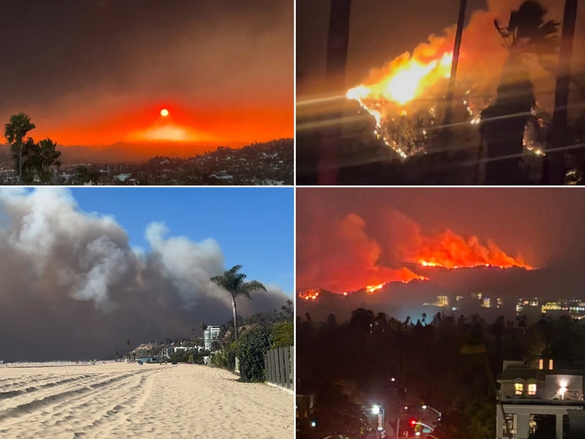 Each Celeb Who Misplaced Their Residence or Evacuated Amid Devastating Los Angeles Fires