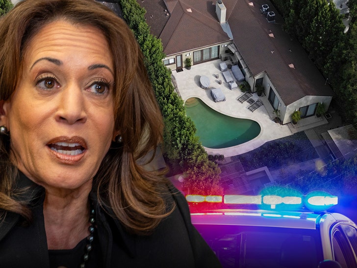 Two Arrested for Curfew Violations Close to Kamala Harris’ L.A. House Amid Palisades Hearth Evacuation Zone