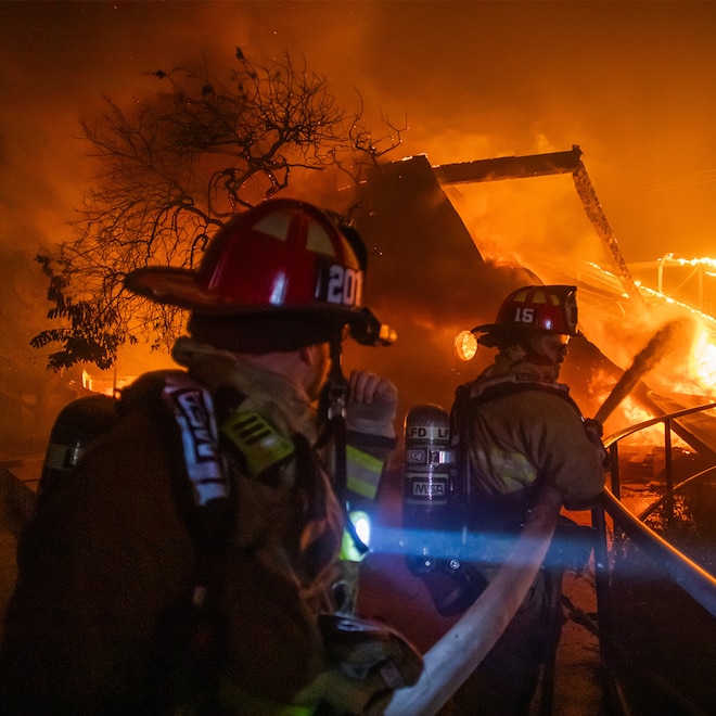 Los Angeles Wildfires: Resident Has Emotional Reunion With Missing Dog