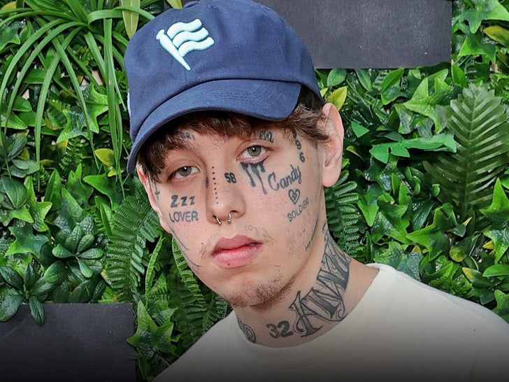 Lil Xan Charged With 2 Felonies for Throwing Mic, Kicking Fan in Face